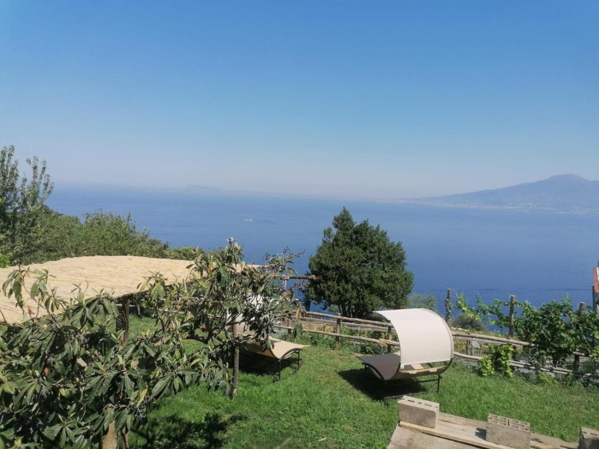 הוילה ויקו אקוונסה La Badia Montechiaro - Breathtaking View Of Sorrento Coast מראה חיצוני תמונה