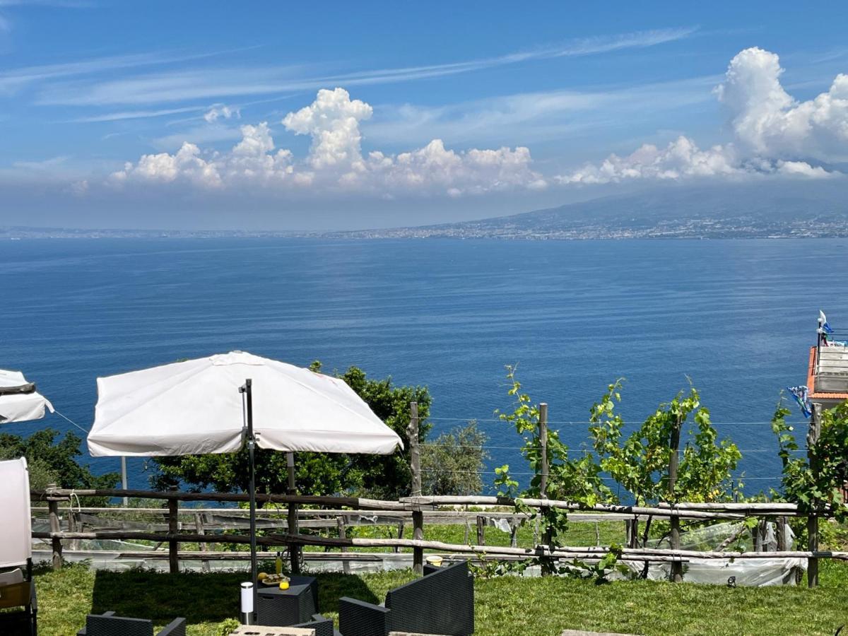 הוילה ויקו אקוונסה La Badia Montechiaro - Breathtaking View Of Sorrento Coast מראה חיצוני תמונה