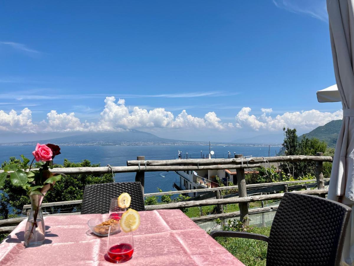הוילה ויקו אקוונסה La Badia Montechiaro - Breathtaking View Of Sorrento Coast מראה חיצוני תמונה