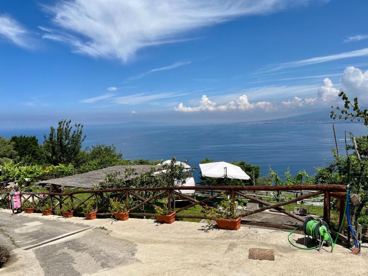 הוילה ויקו אקוונסה La Badia Montechiaro - Breathtaking View Of Sorrento Coast מראה חיצוני תמונה